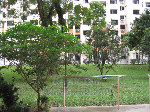 Blk 120 Lorong 2 Toa Payoh (Toa Payoh), HDB 2 Rooms #220142